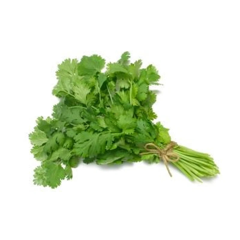 Cilantro Imported Pack