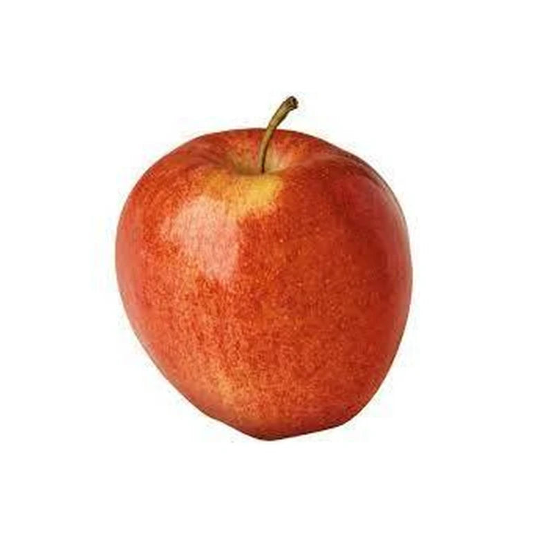 Apple Gala - Large Single