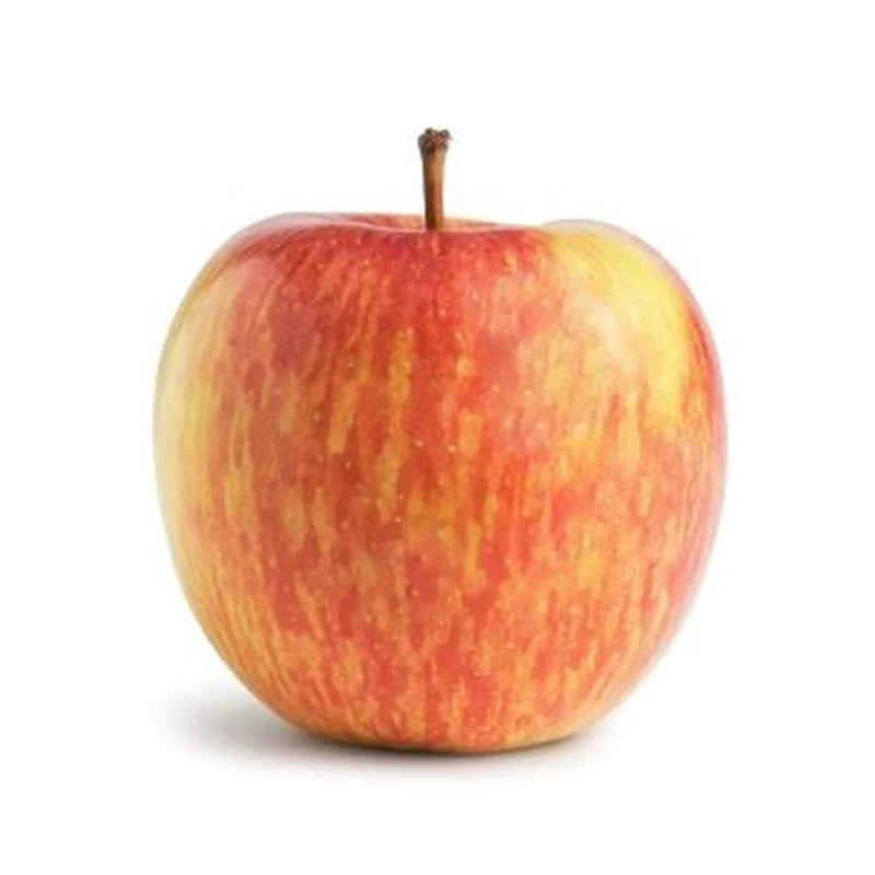 Apples Fuji Single