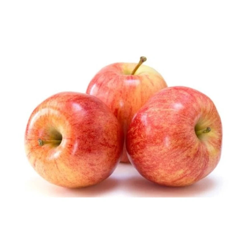 Apples Gala - Small Single