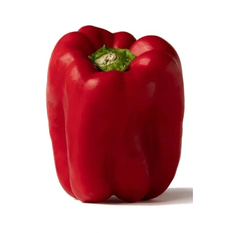 Peppers Red Large (9.98Kg)