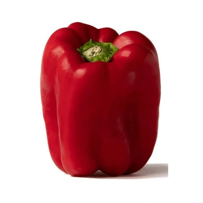 Peppers Red Large (9.98Kg)