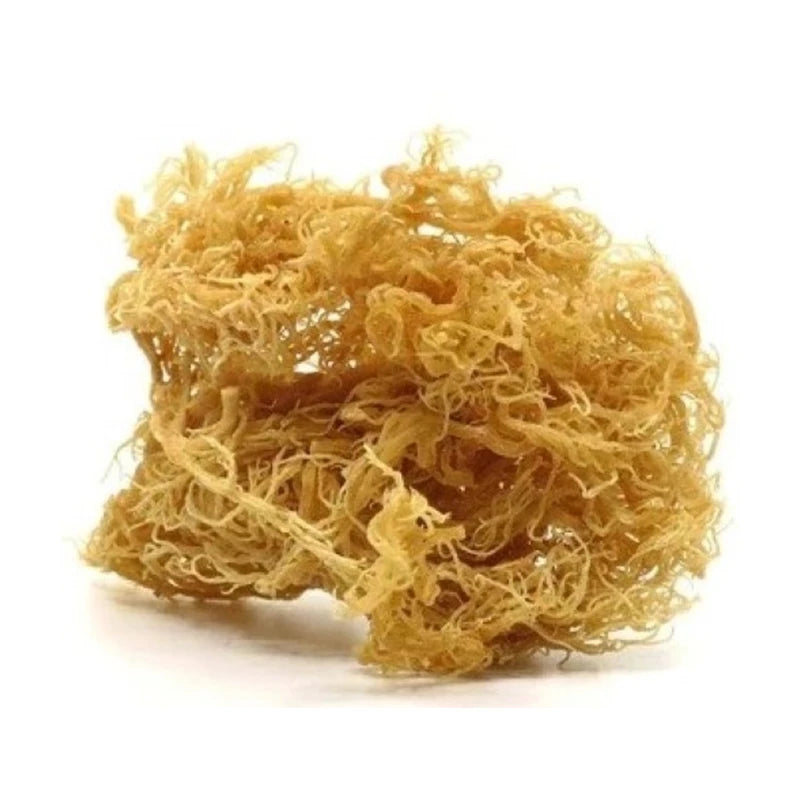 Irish Moss