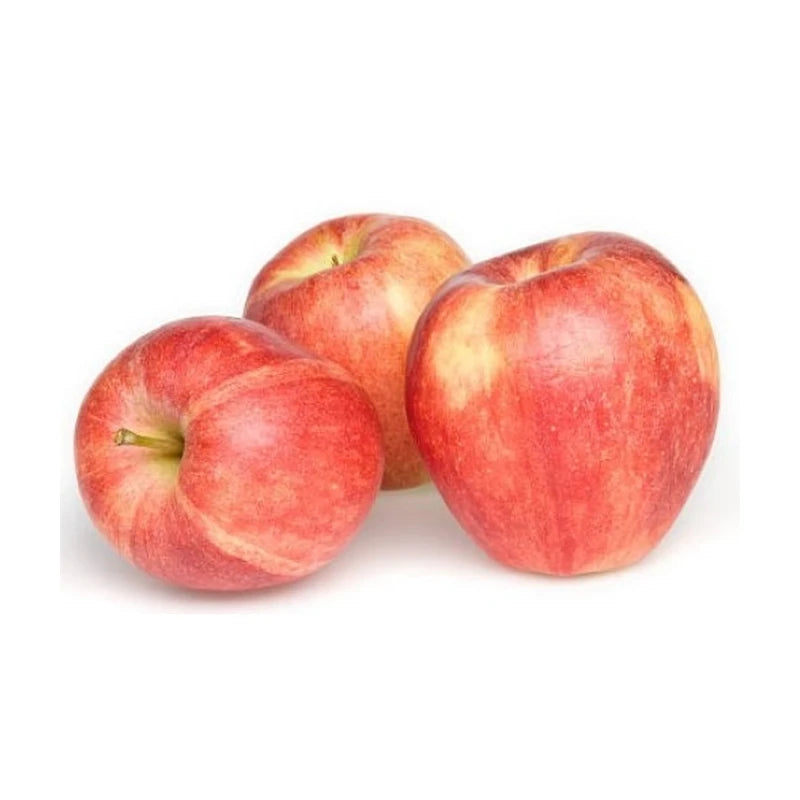 Apples Gala - Medium Single