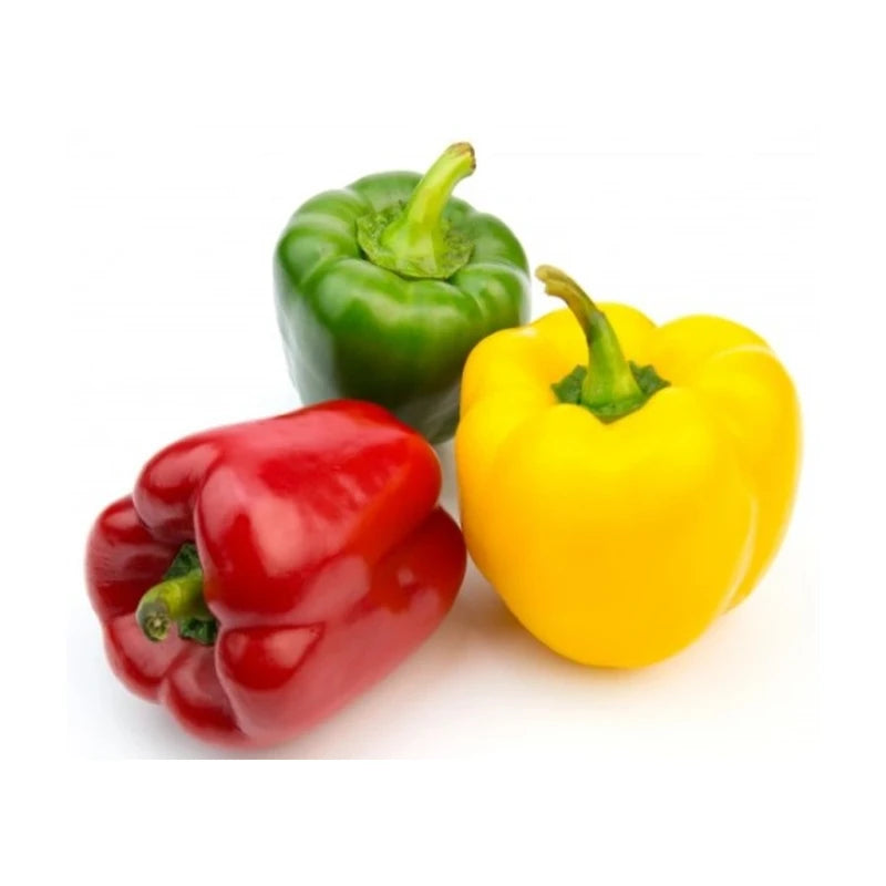 Coloured Sweet Pepper Kg