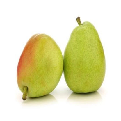 D'Anjou Pears Small Single