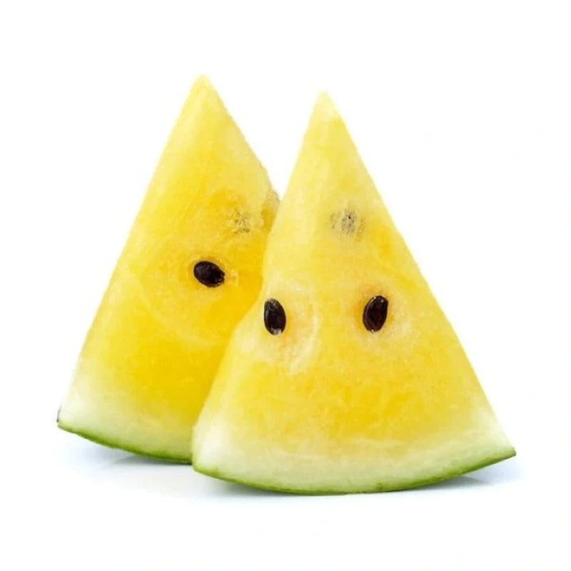 Melon Yellow Kg