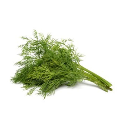 Fresh Dill 1Pk