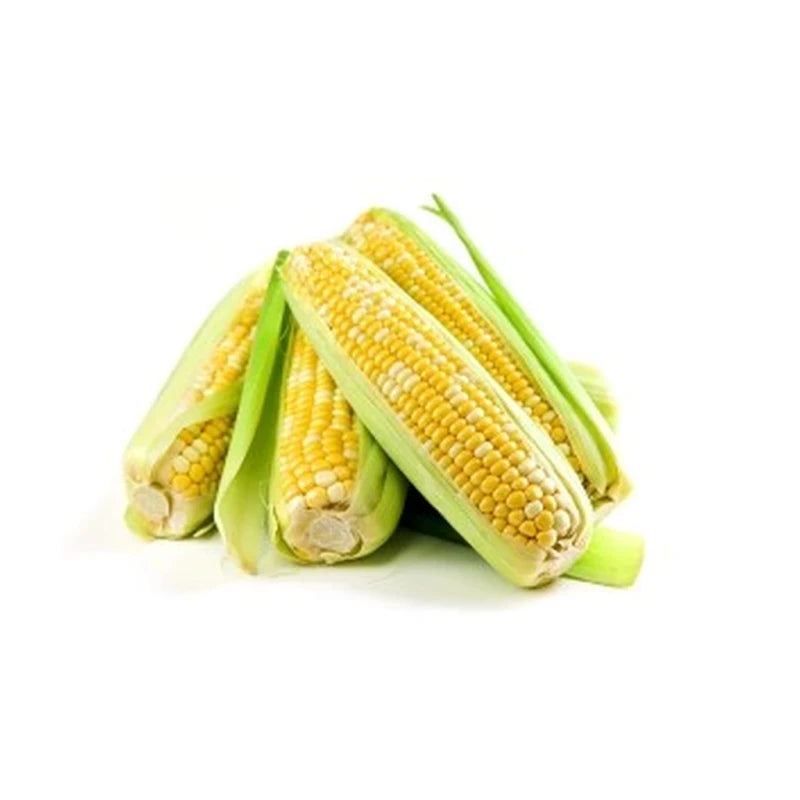 Sweet Corn In Husk Single