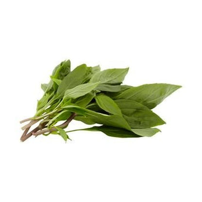 Sweet Basil 20G