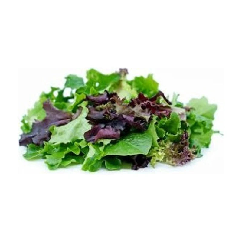 Lettuce Mix 1Pk