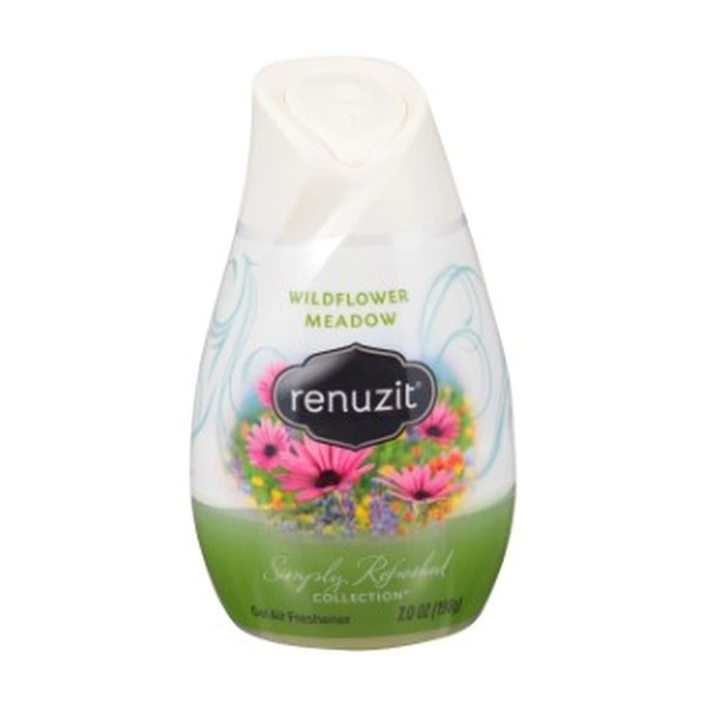 Renuzit Adj Wldflwr Mdw 7Oz