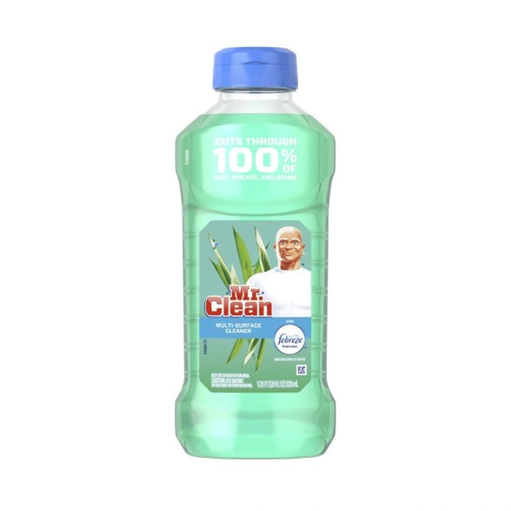 Mr Clean Feb Meeadow & Rain 28Oz