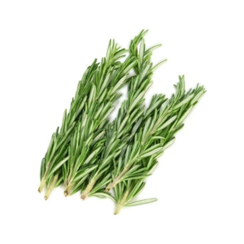 Rosemary 20G