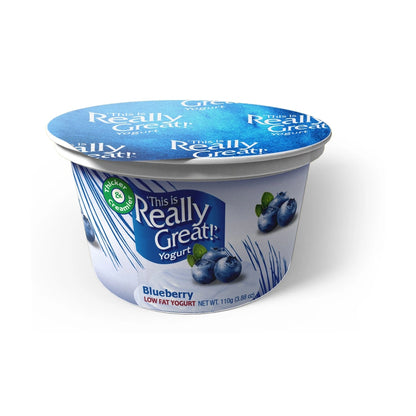 This Is Really Great Blueberry Yogurt 11