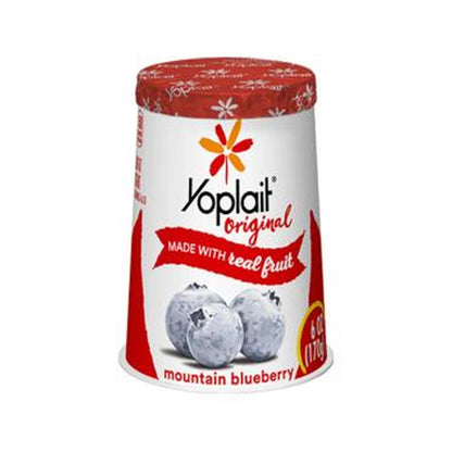 Yoplait Blueberry Original 170G