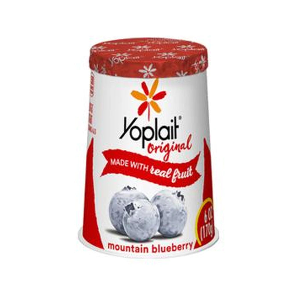 Yoplait Blueberry Original 170G