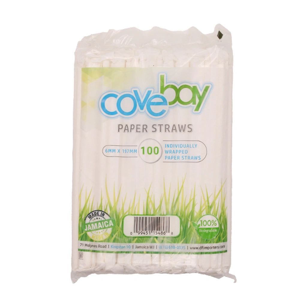 Covebay Individually Wrap Paper Straw 10