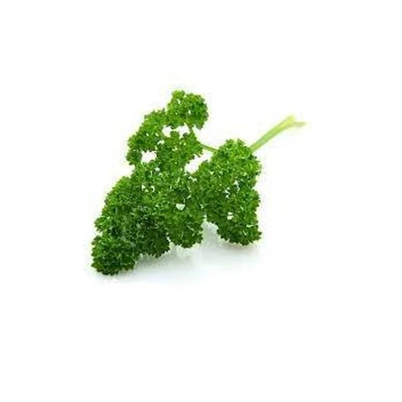 Parsley Curly - Imported 1Pk