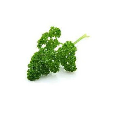 Parsley Curly - Imported 1Pk