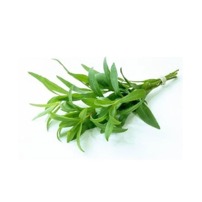 Fresh Tarragon 30G