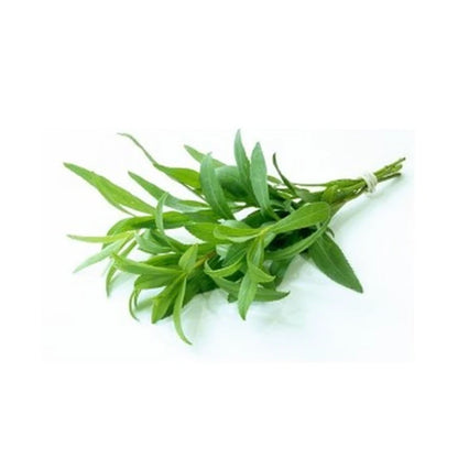 Fresh Tarragon 30G
