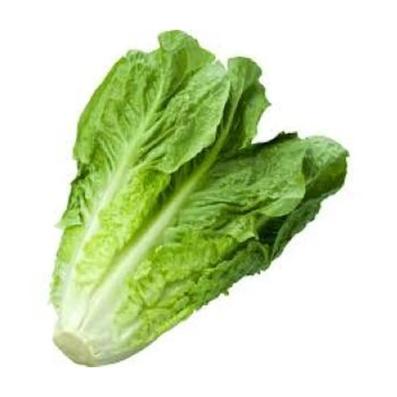 Quality Harvest Romaine Lettuce .5Lb