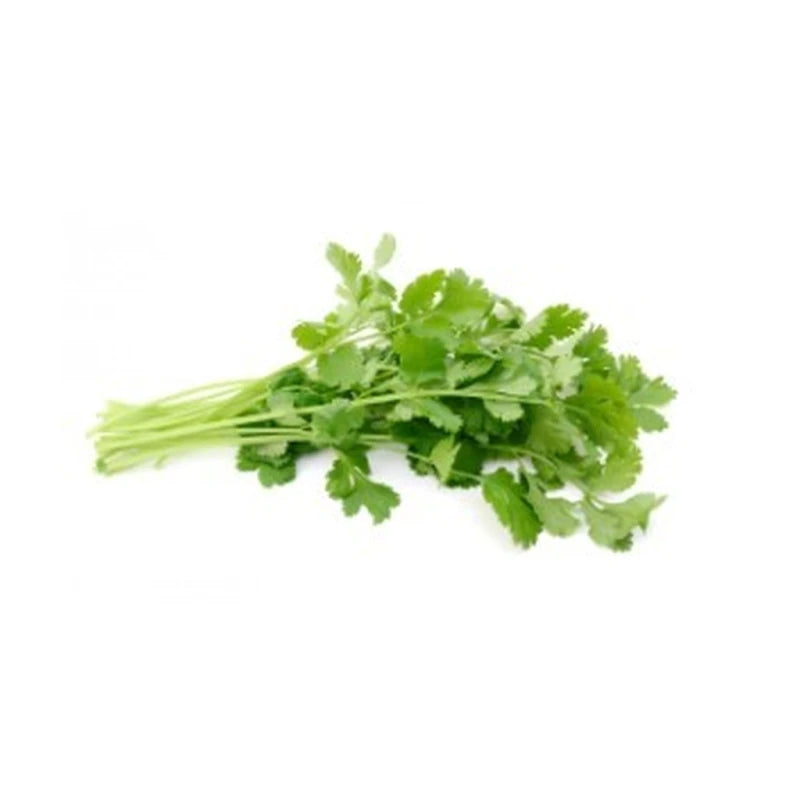 Quality Harvest Cilantro 25G
