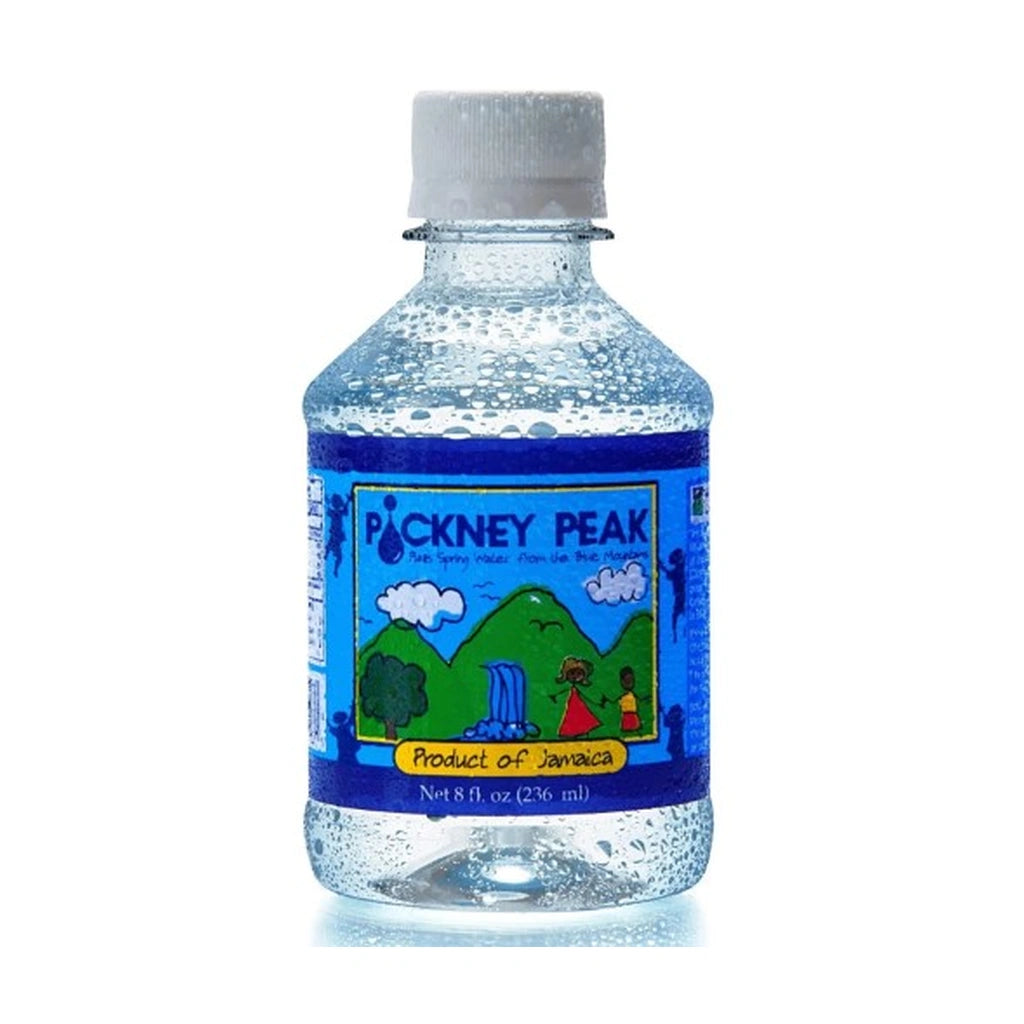 Pickney Peak Spring Water 236Ml