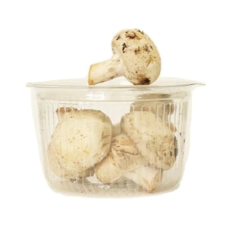 Mushroom Imported Kg