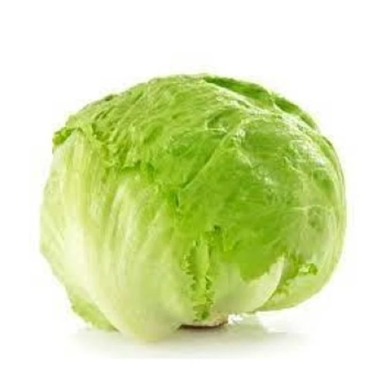 Iceberg Lettuce Local Kg