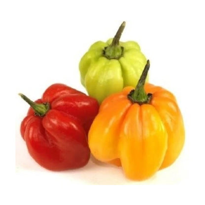 Pepper Scotch Bonnet Pack