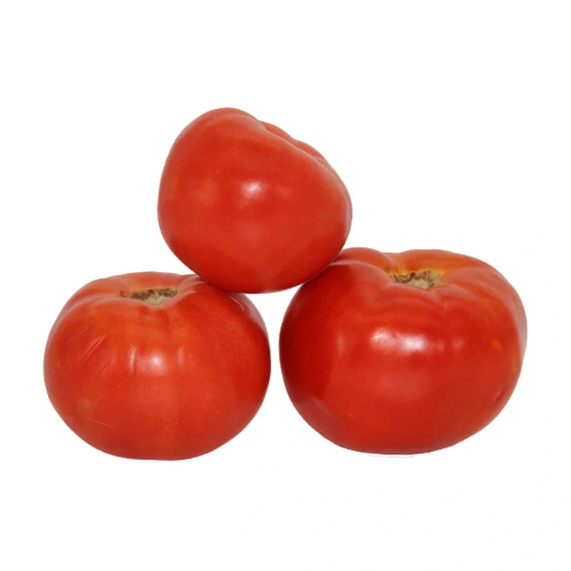 Salad Tomato Local Kg