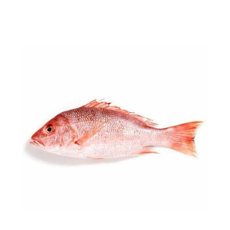 Red Snapper Fryer Tray Pack Kg