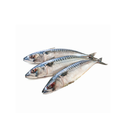 Pickled Mackerel Kg