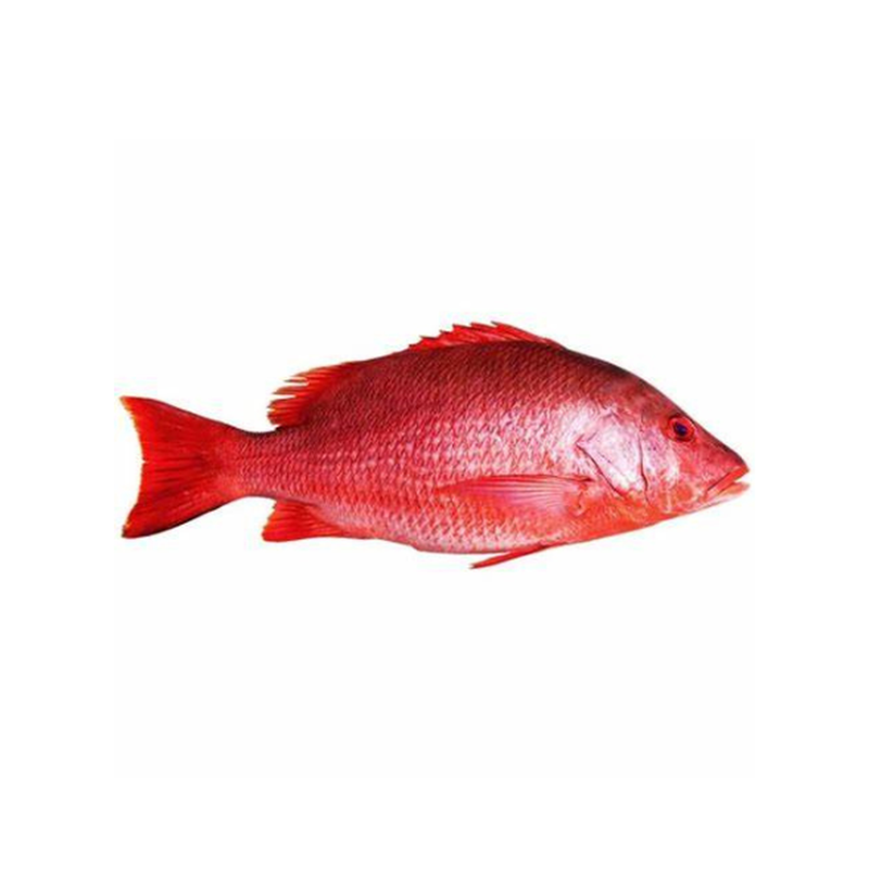 Red Snapper Per Kg
