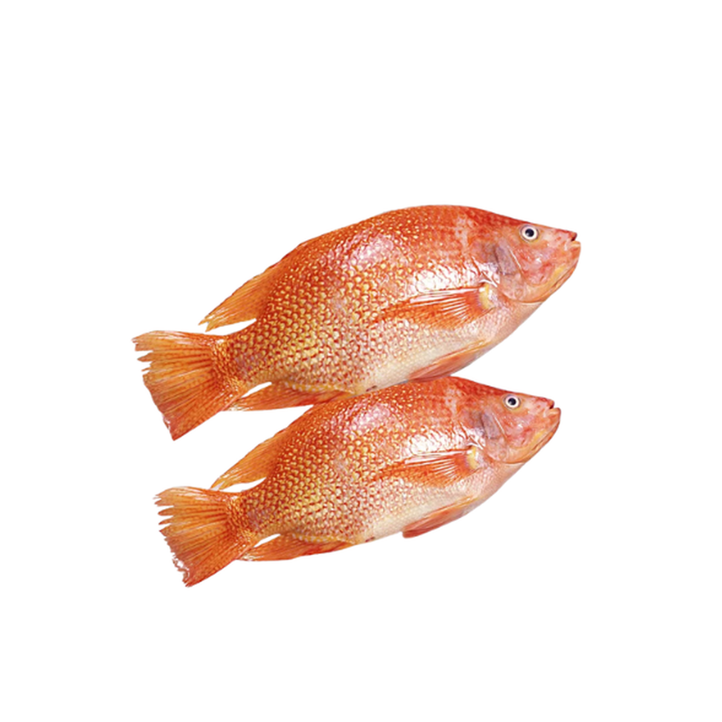 Red Tilapia Fryer Kg