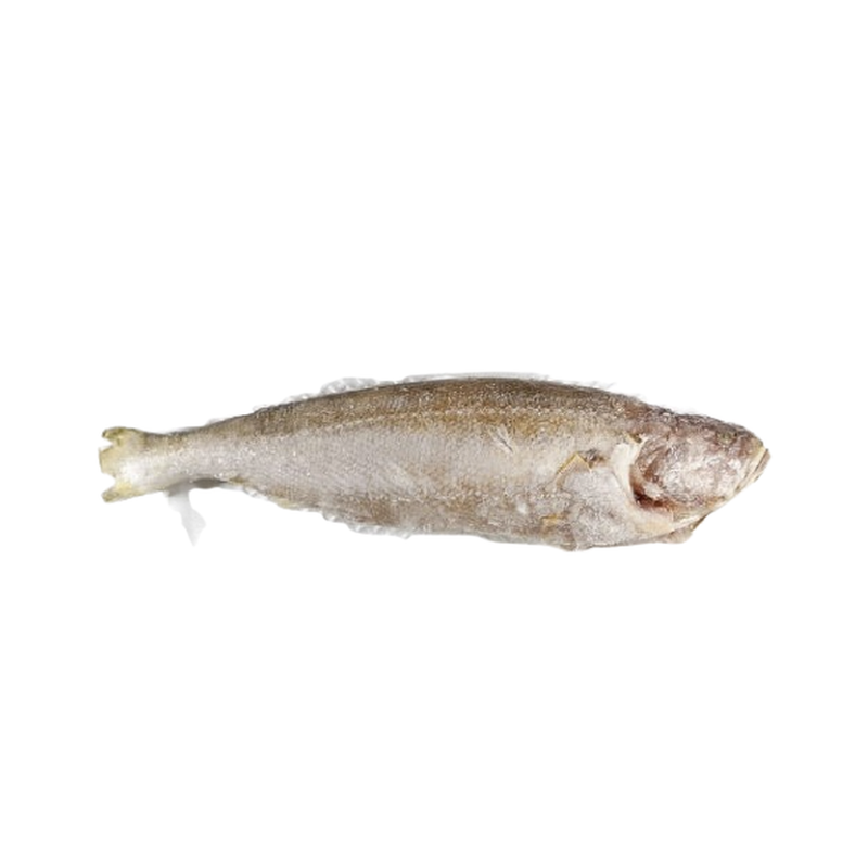 Whole 682 Fish