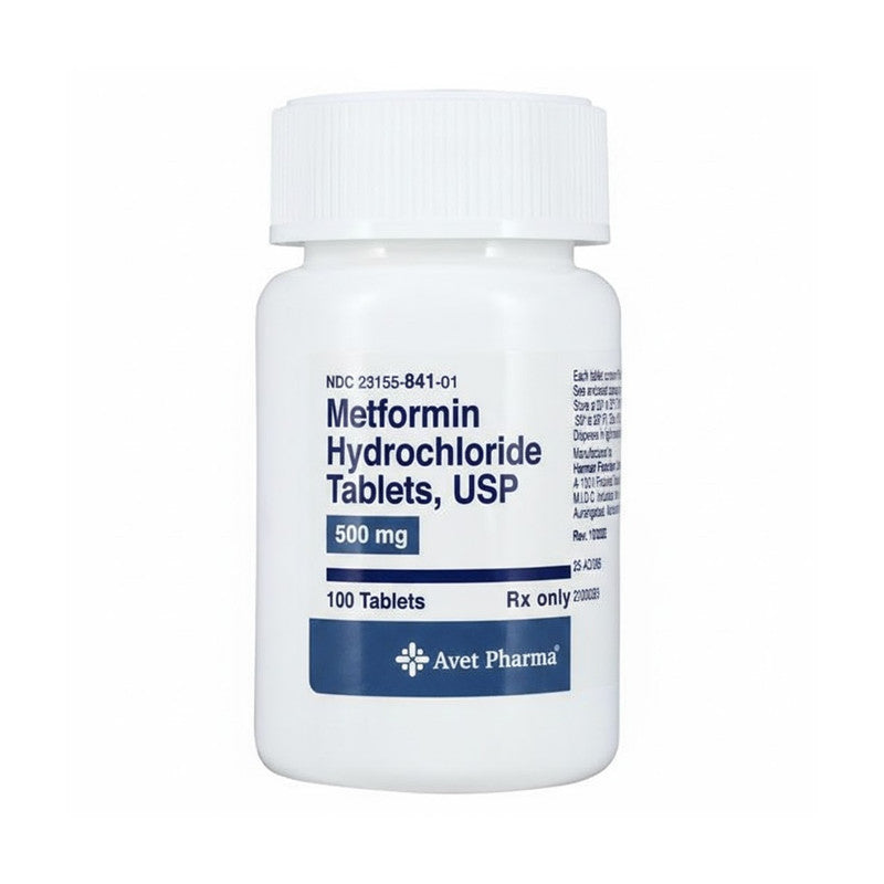 H2000 Metformin Hcl 500Mg 100'S