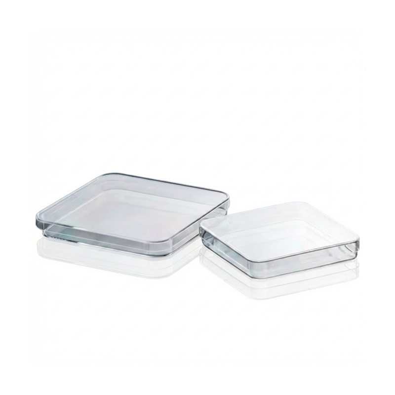 Petri Dish Sterile 10'S